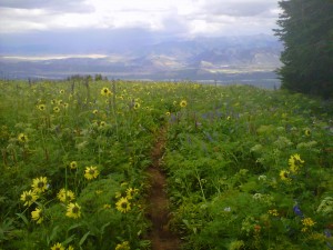 Teton Pass:Black Canyon Trail